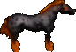 Caballo Negro