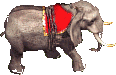 Elefante